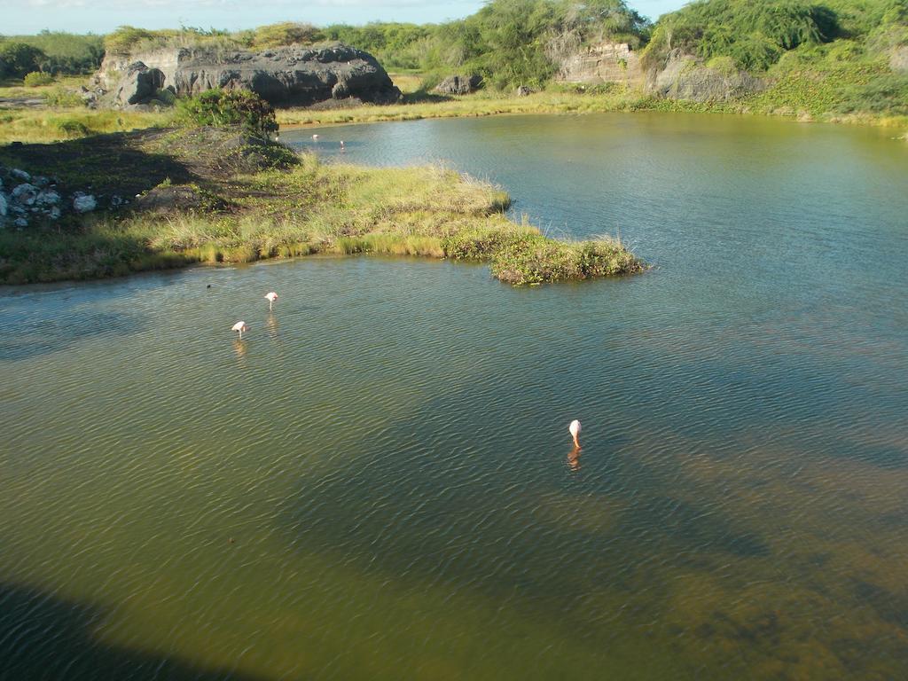 Paraiso De Isabela Puerto Villamil Eksteriør bilde